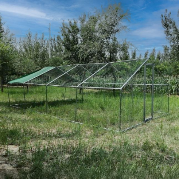Parc à Poules - Enclos 32m² Ø38mm 8x4x2,8m - Acier Galvanisé