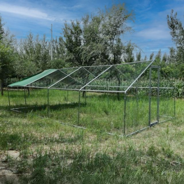 Parc à Poules - Enclos 32m² Ø38mm 8x4x2,8m - Acier Galvanisé