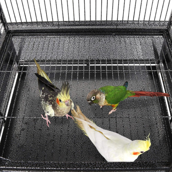 Cage à oiseaux volière - 46l x 36l x 100h cm