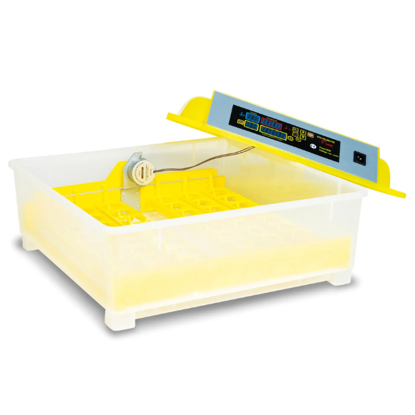 Couveuse Automatique 48 Oeufs - Incubateur Autonome Intelligent