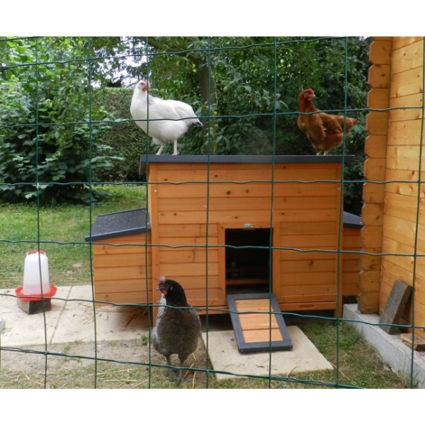 Pondoir pour Poulailler 2 Places Bois FSC