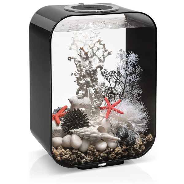 Aquarium led design - noir