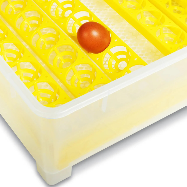 Couveuse Automatique 48 Oeufs - Incubateur Autonome Intelligent