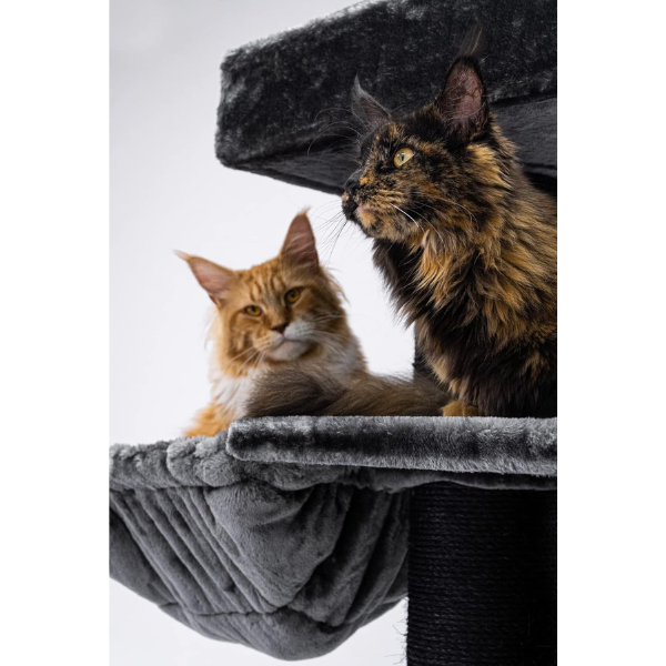 Arbre à chat XXL géant 48 x 176 cm