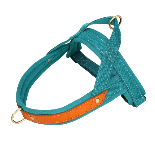 Harnais en T pour chien