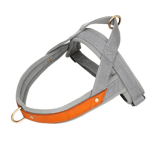 Harnais en T pour chien