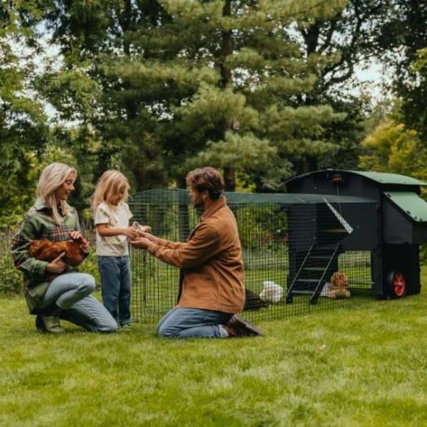 Poulailler Penthouse Large 8 poules