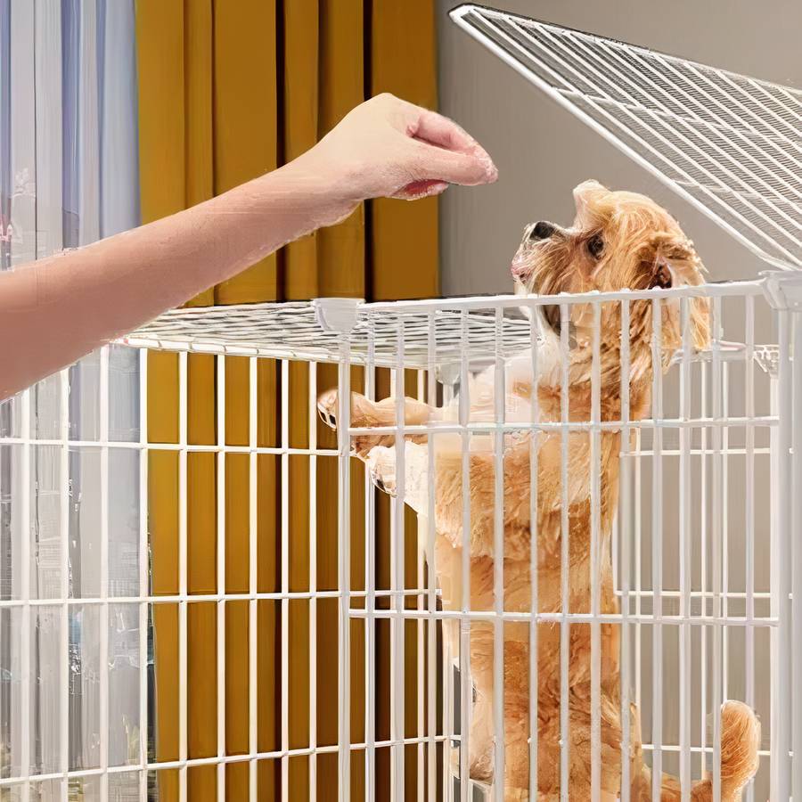 Parc pour chien blanc à double ouverture