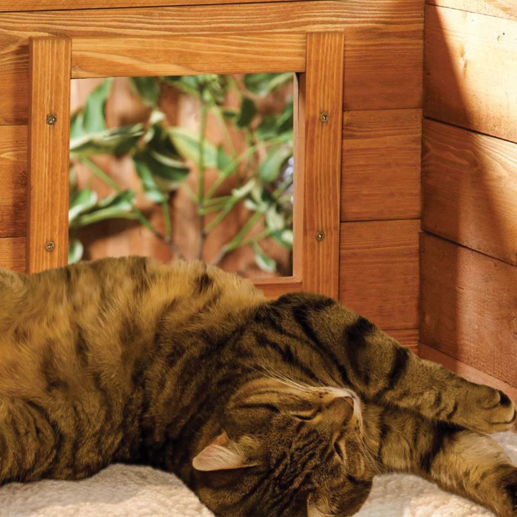 Mayfair Microchip Self Heating Outdoor Cat Kennel with One-Way Privacy Window