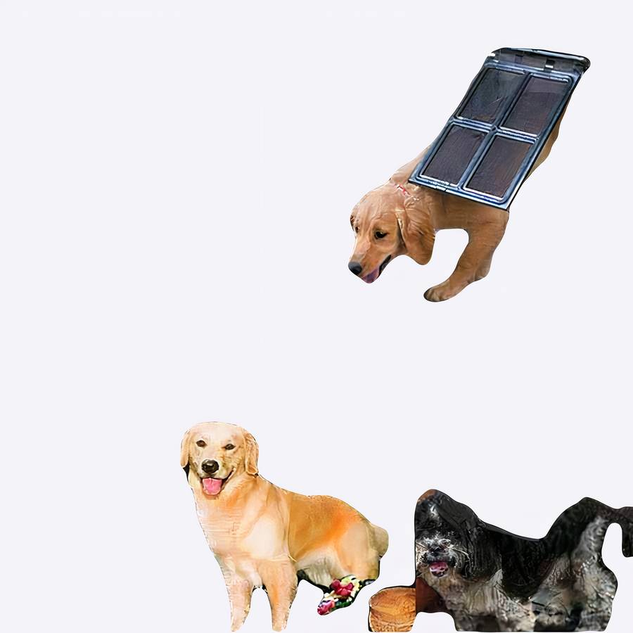 Chatière pour animaux de compagnie