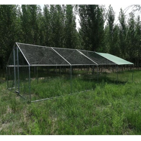 Parc à Poules - Enclos 32m² Ø38mm 8x4x2,8m - Acier Galvanisé