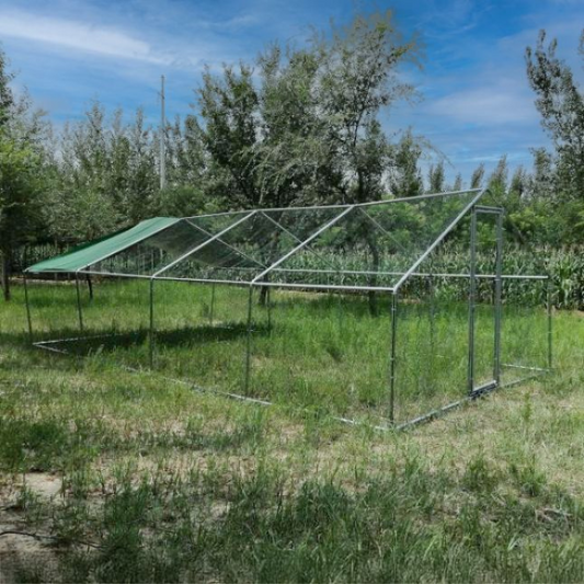Parc à Poules - Enclos 32m² Ø38mm 8x4x2,8m - Acier Galvanisé