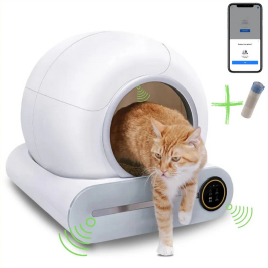 Litière Automatique Connectée