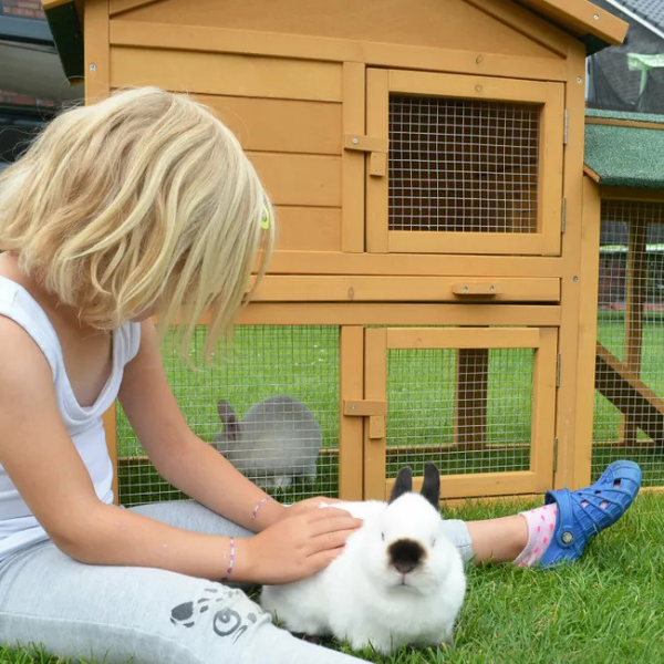 Cage avec clapier - enclos lapin 145x53x86 cm - villa lapin