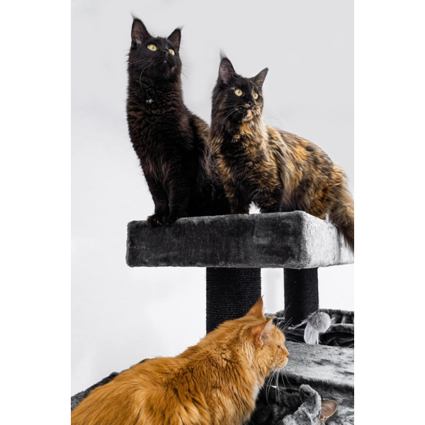 Arbre à chat XXL géant 48 x 176 cm