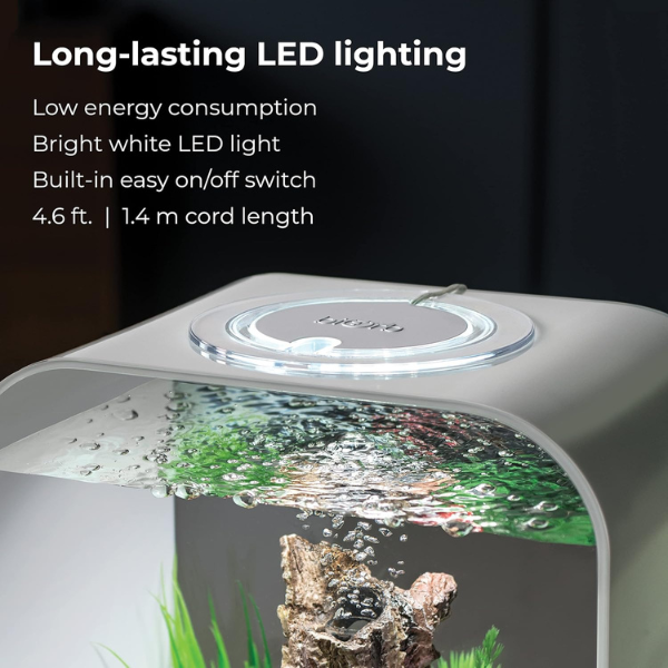 Aquarium led design - noir