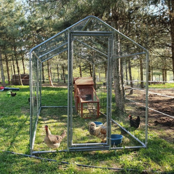 Enclos Poulailler 8m² Tubes 32mm H2,25m - Parc Grillagé Renforcé 4x2m - Acier Galvanisé