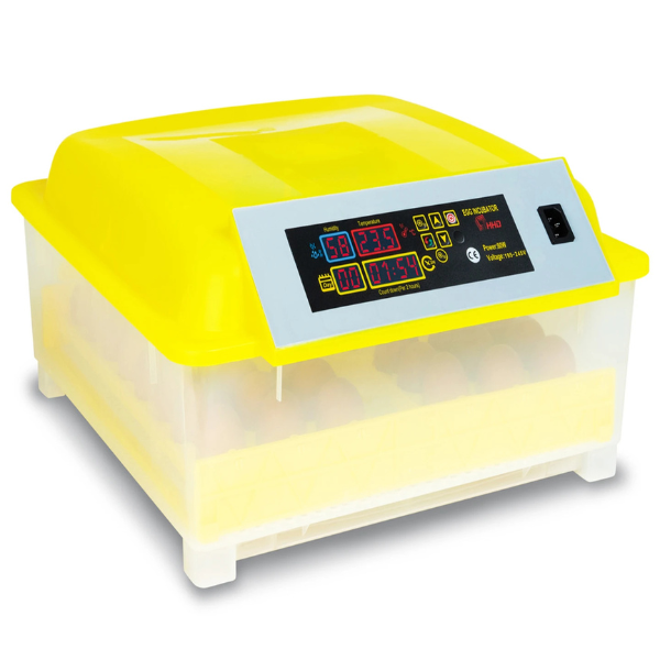 Couveuse Automatique 48 Oeufs - Incubateur Autonome Intelligent