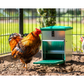 Mangeoire pour Poules Automatique & Réglable | Anti-Nuisibles | 5kg