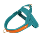 Harnais en T pour chien