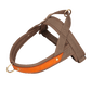 Harnais en T pour chien