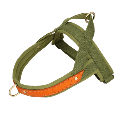 Harnais en T pour chien